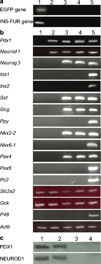 Fig. 6