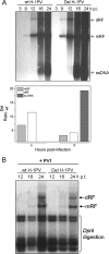 Fig 7