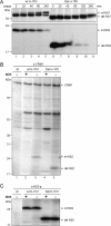 Fig 8
