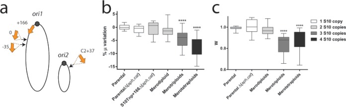 FIG 3 