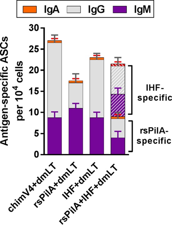 FIG 1