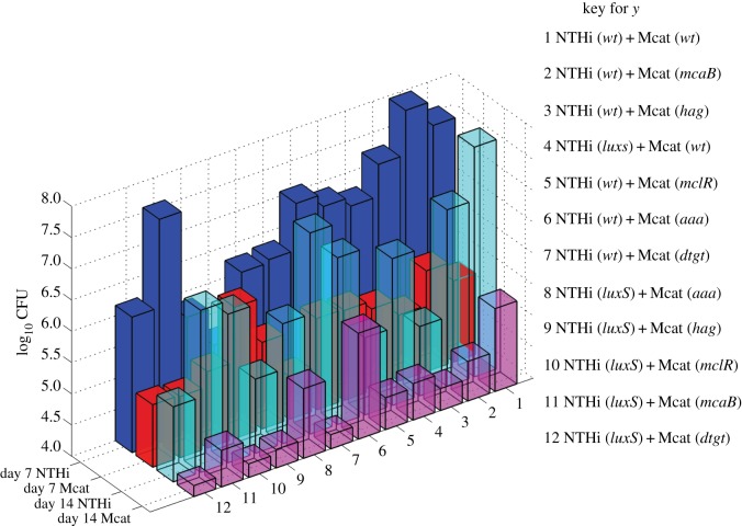 Figure 3.