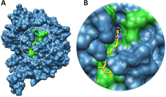 Figure 10