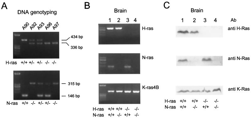 FIG. 4