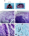 FIG. 7