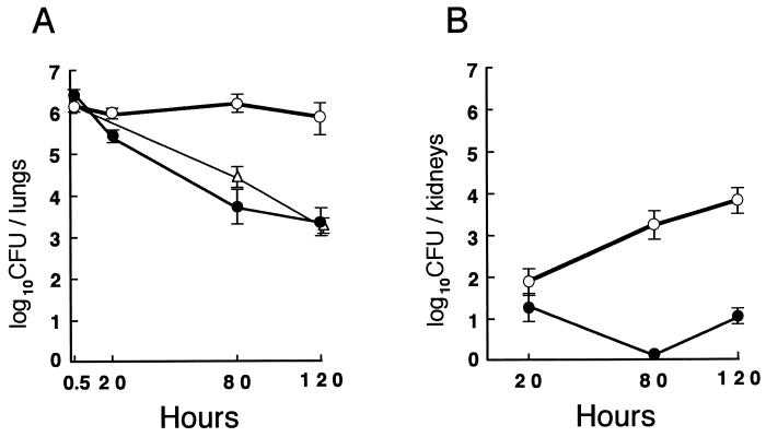 FIG. 6