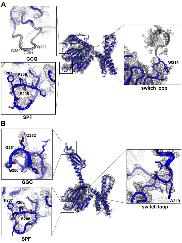 Figure 1—figure supplement 4.