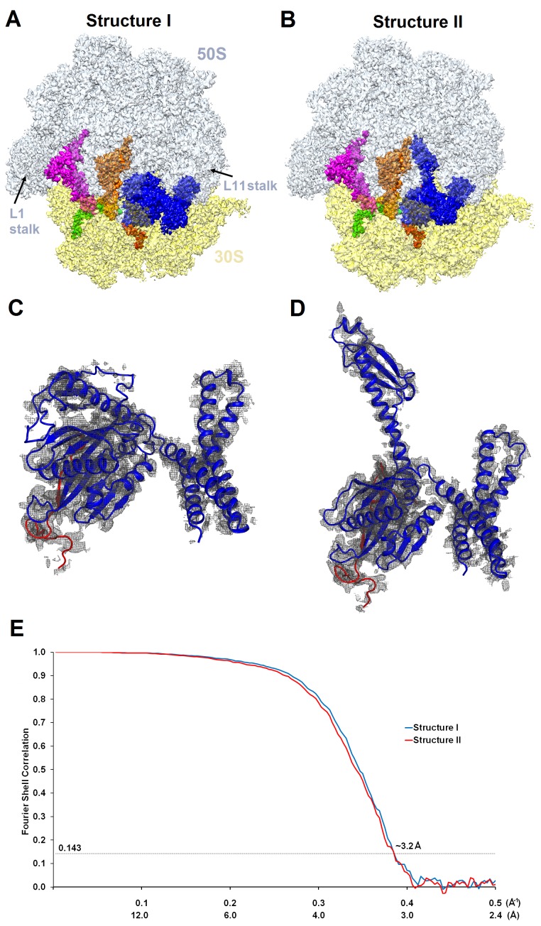 Figure 1—figure supplement 2.