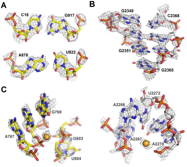 Figure 1—figure supplement 5.