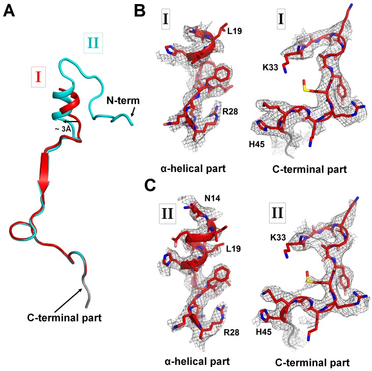 Figure 1—figure supplement 3.