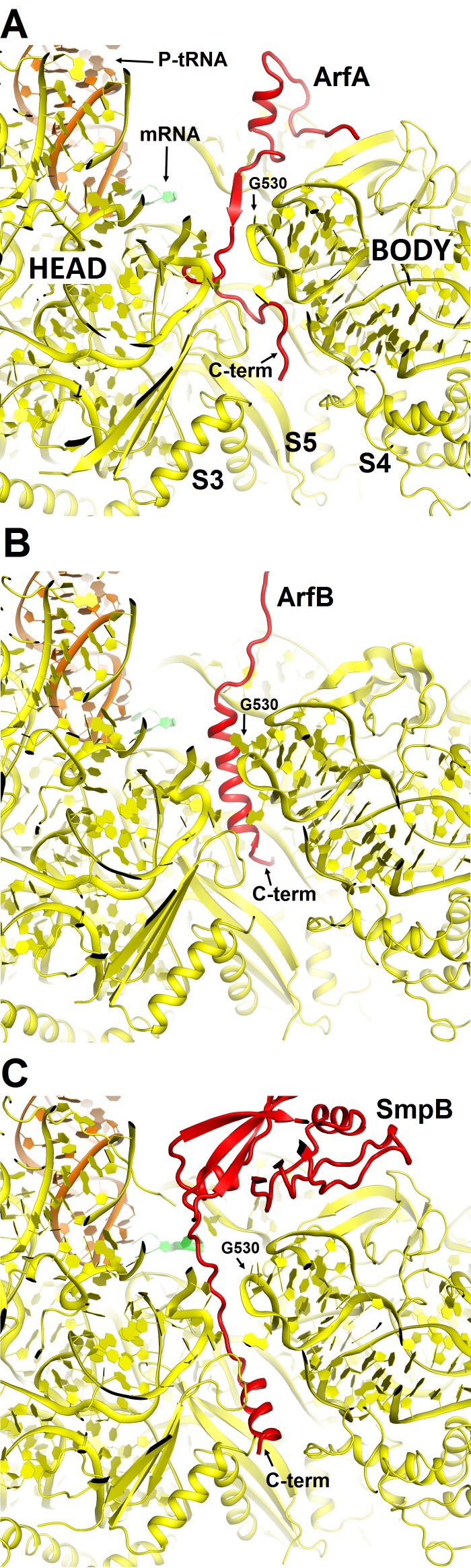 Figure 2—figure supplement 1.