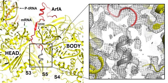 Figure 2—figure supplement 2.