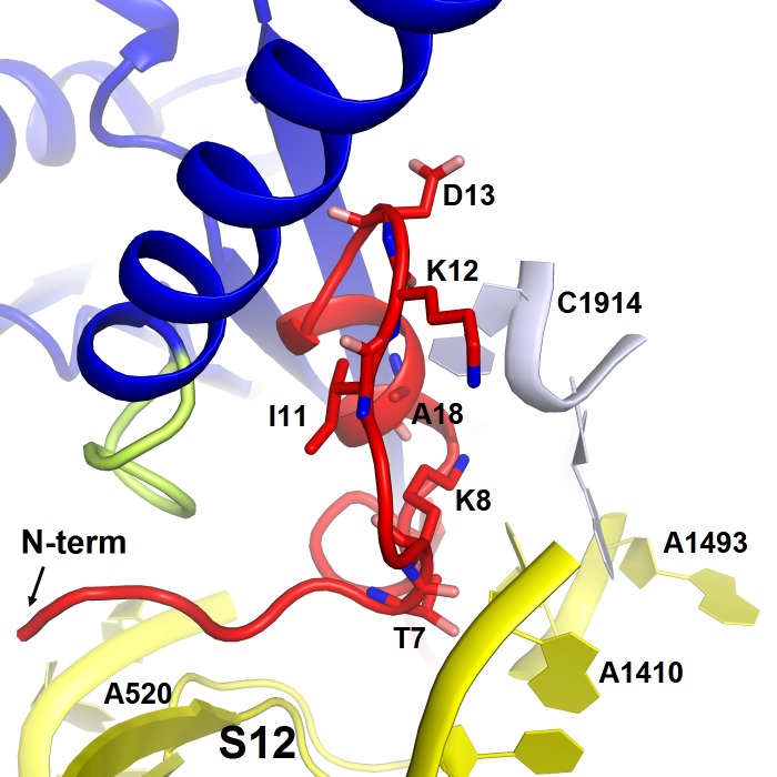 Figure 2—figure supplement 3.