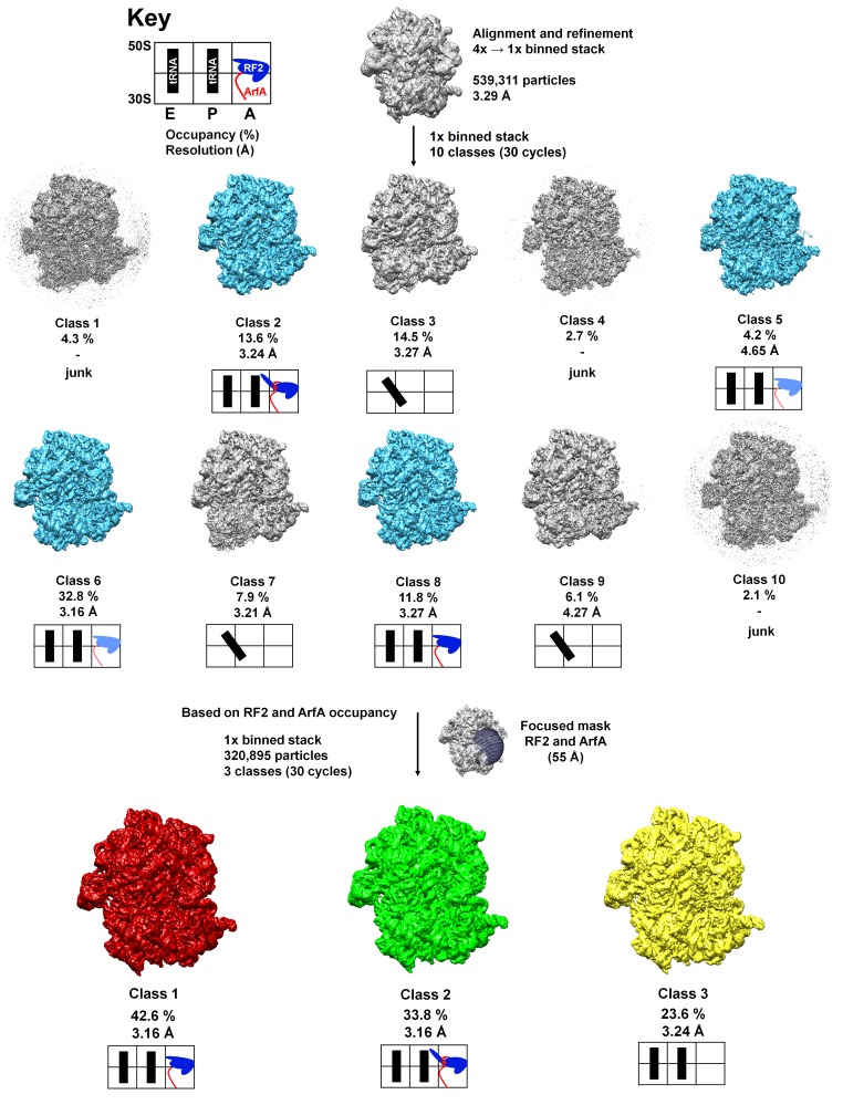 Figure 1—figure supplement 1.