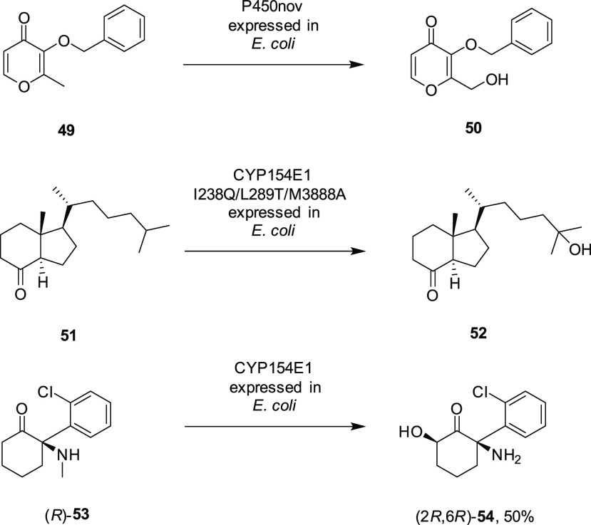 Scheme 11