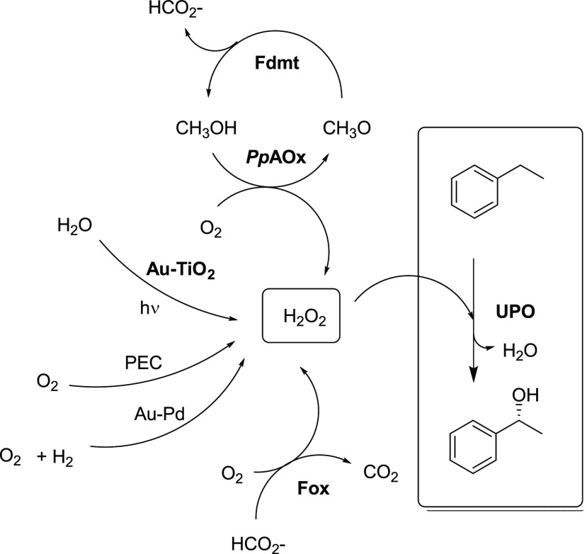 Scheme 17