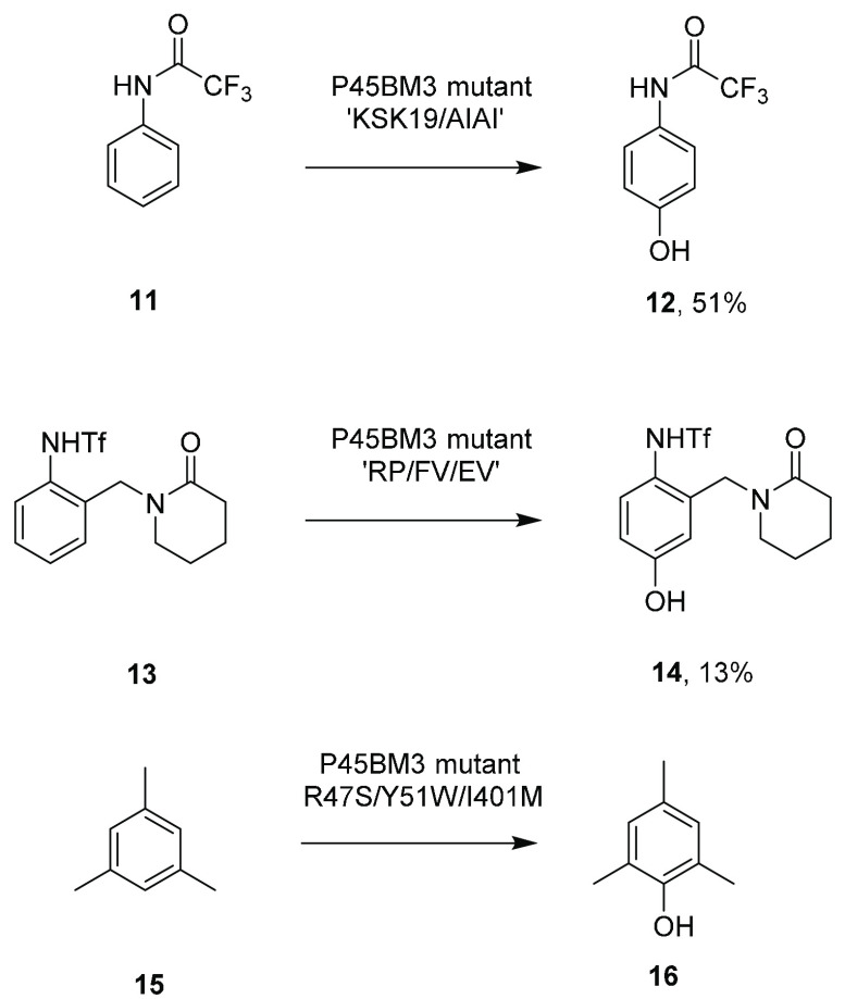 Scheme 4