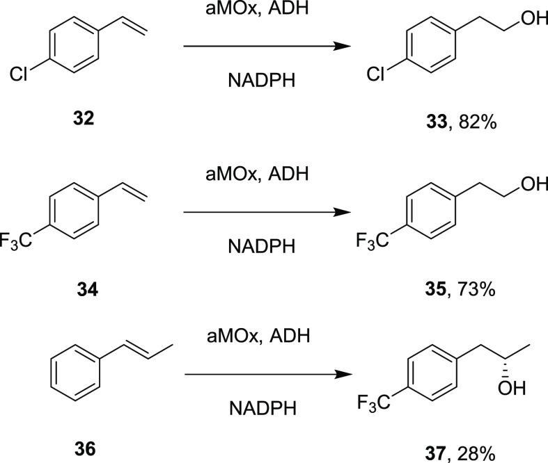 Scheme 7