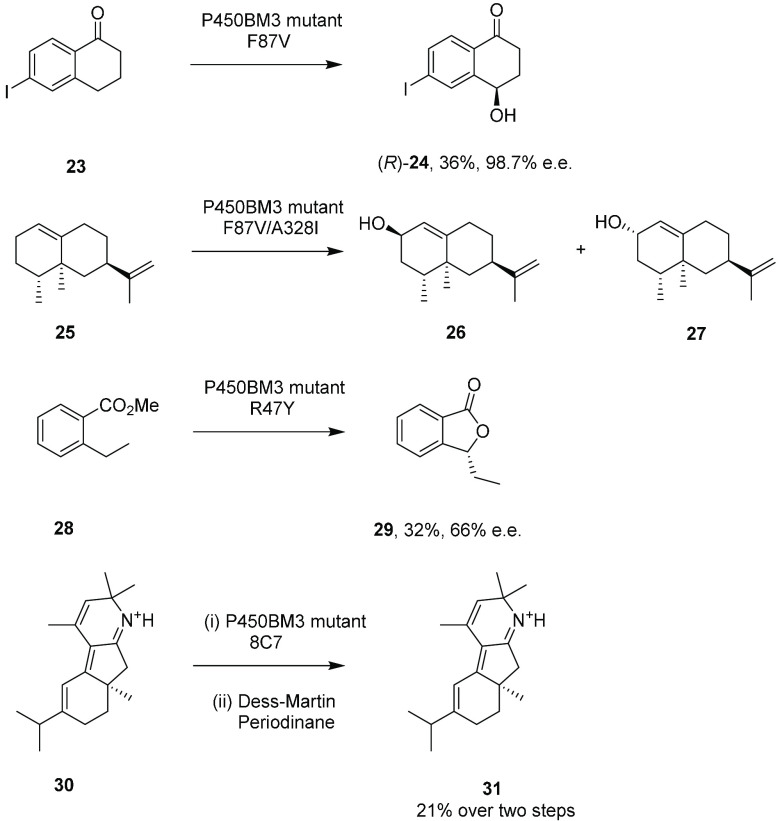 Scheme 6