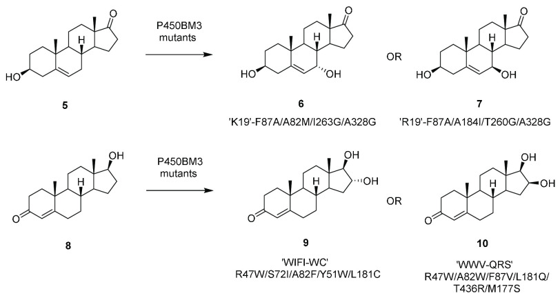 Scheme 3