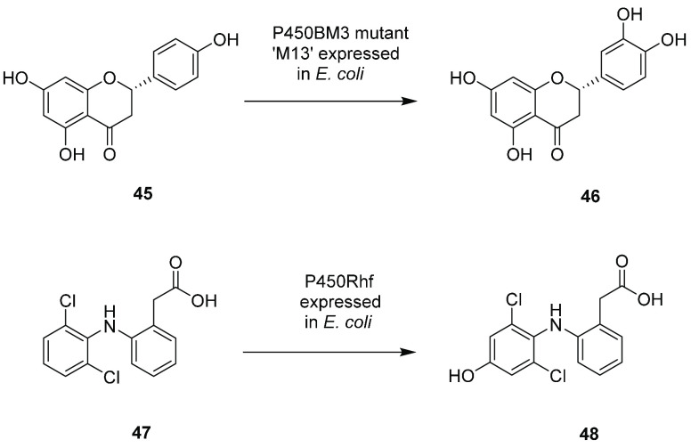 Scheme 10