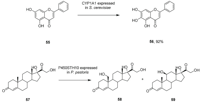 Scheme 12