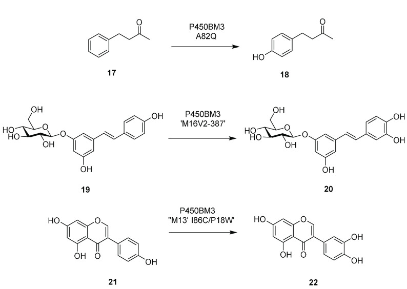 Scheme 5