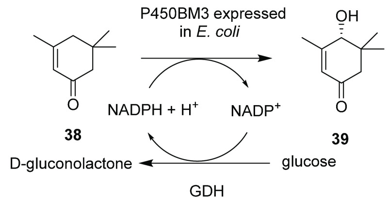 Scheme 8