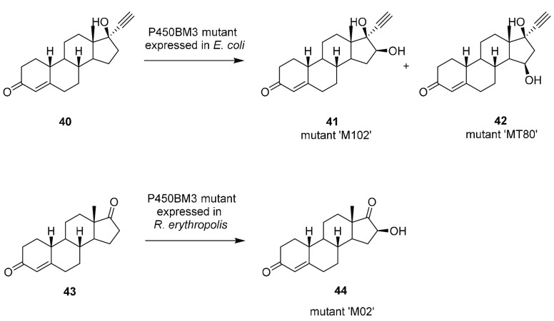 Scheme 9