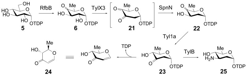 Scheme 4