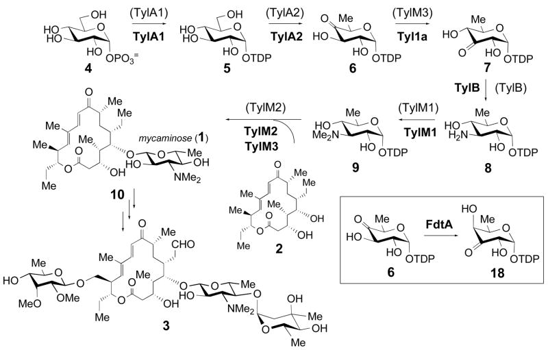 Scheme 1