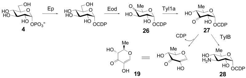 Scheme 5