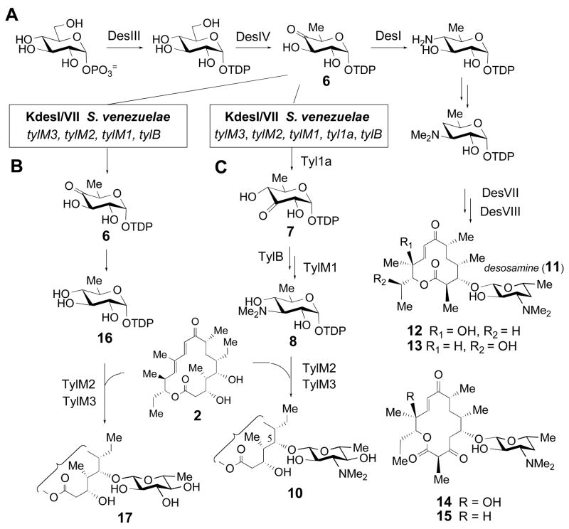 Scheme 2