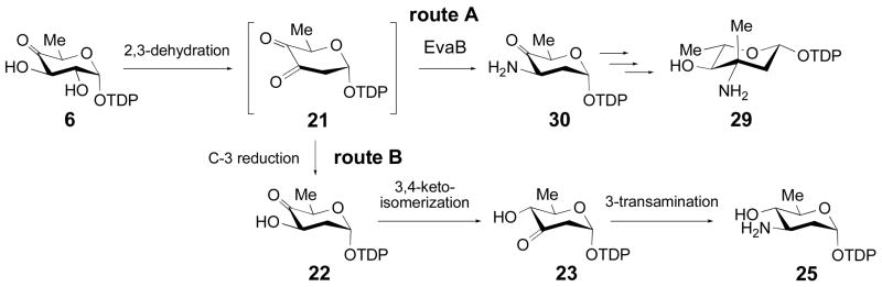 Scheme 6