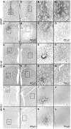 <b>Figure 3</b>