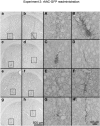 <b>Figure 6</b>