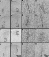 <b>Figure 5</b>