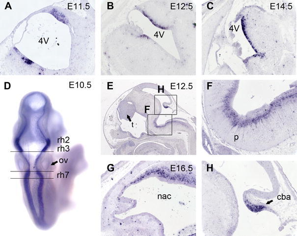 Fig. 4