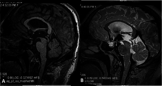 Fig. 8