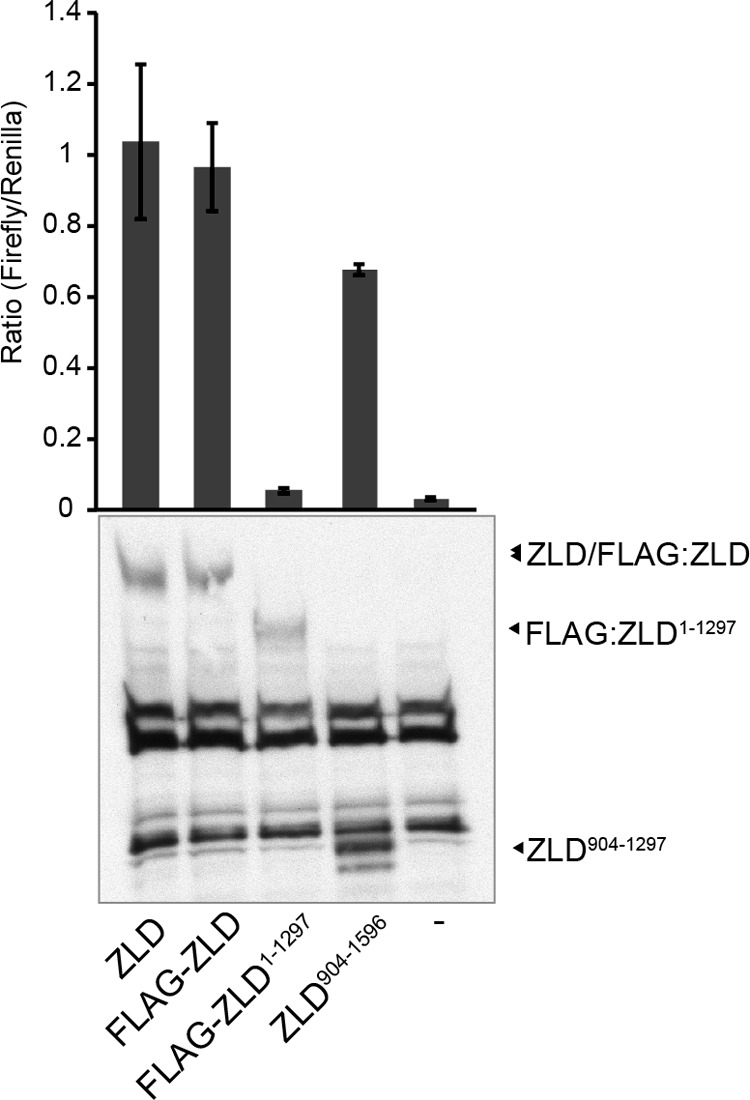 FIGURE 6.