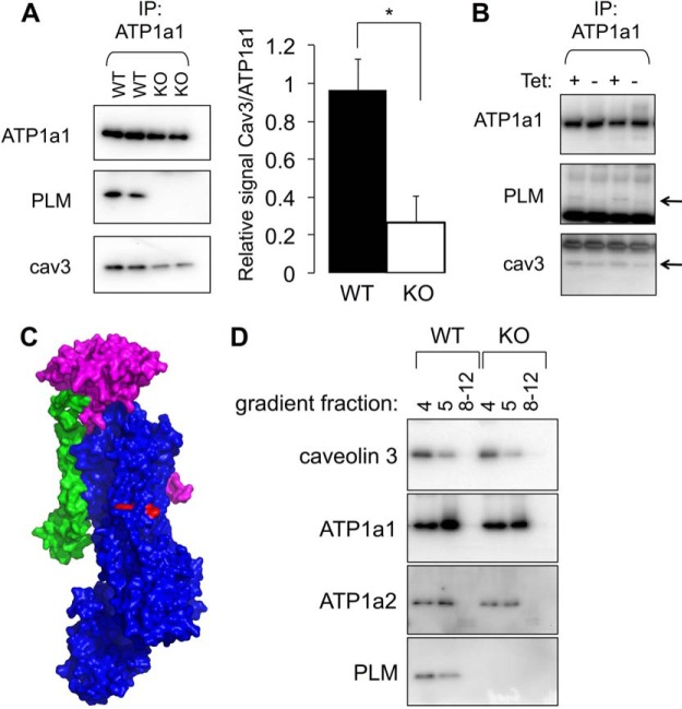 Fig. 3.