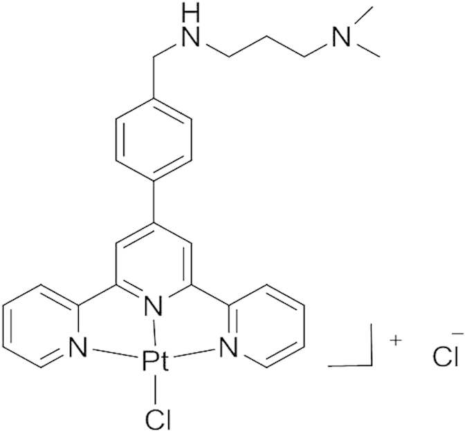 Figure 8