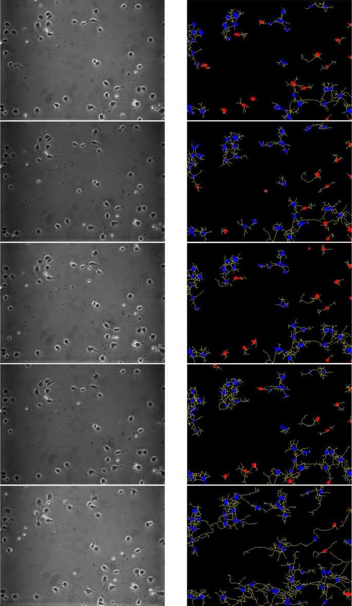 Fig. 13