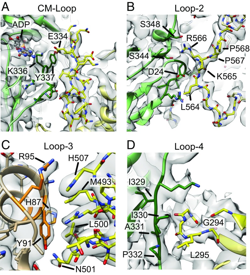 Fig. 4.