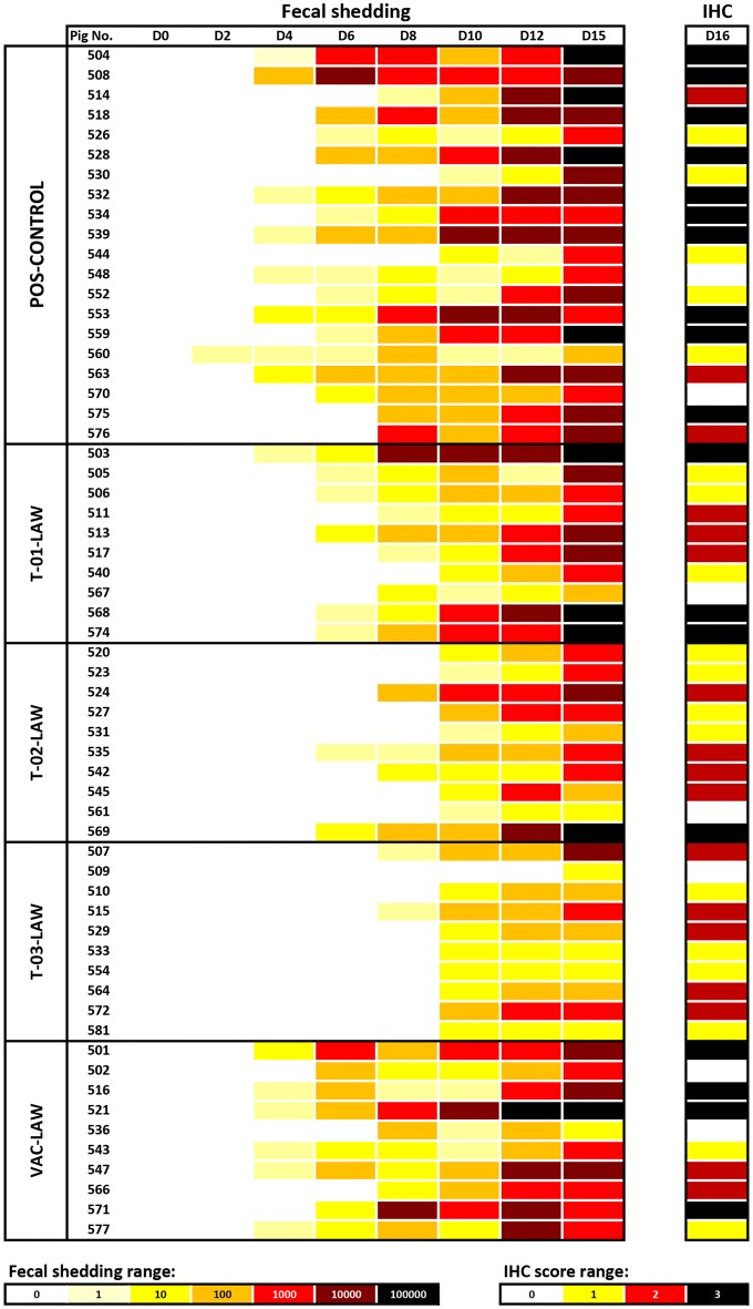 Figure 4