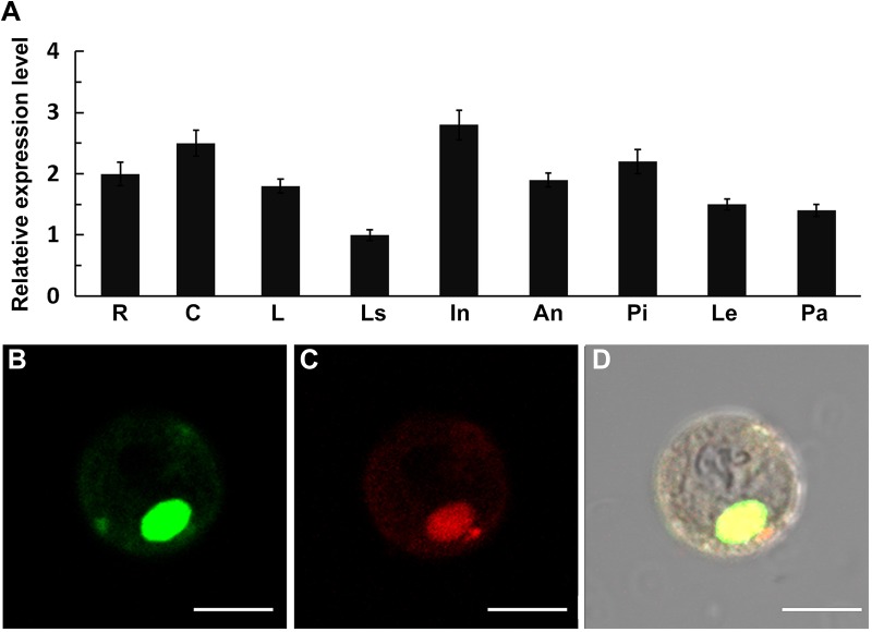 Fig 4