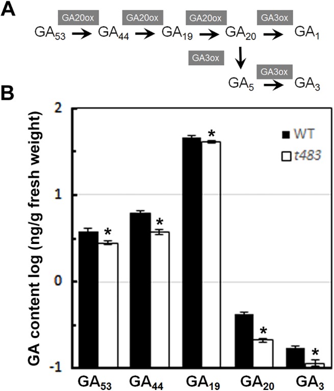 Fig 6