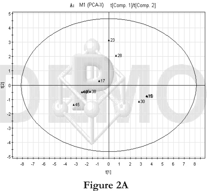 Figure 2A