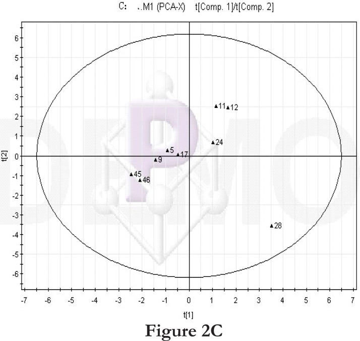 Figure 2C