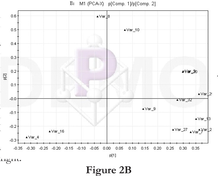 Figure 2B